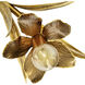 Lowcountry 6 Light Brass and Gold Brush Chandelier Ceiling Light